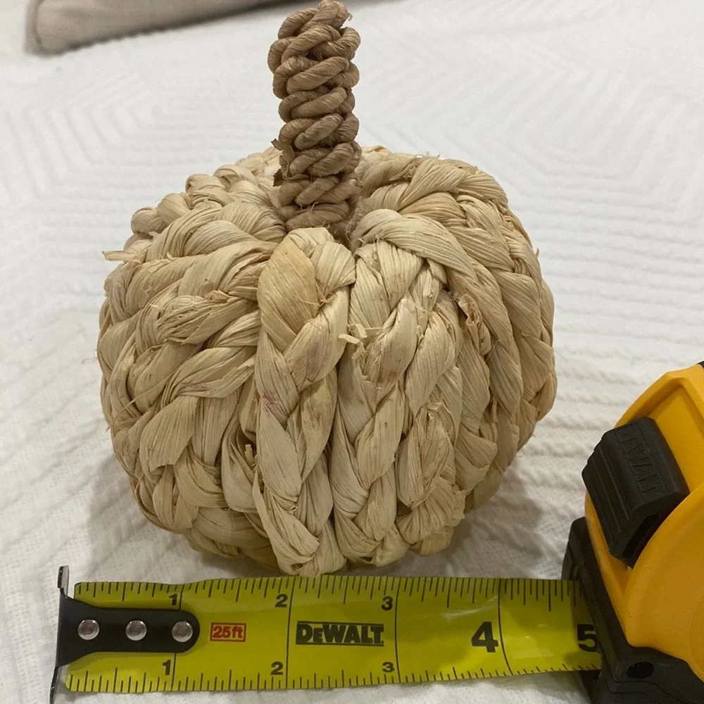 Target wicked pumpkins (4)